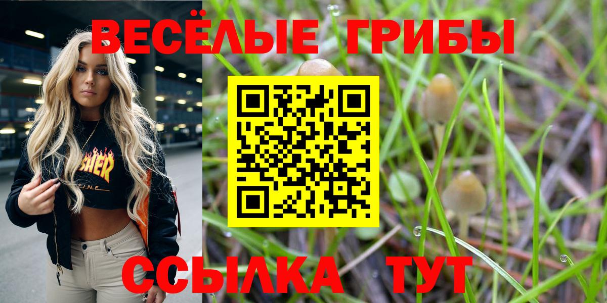 Галлюциногенные грибы Cubensis Миасс